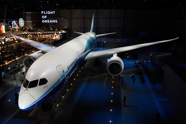FLIGHT OF DREAMS