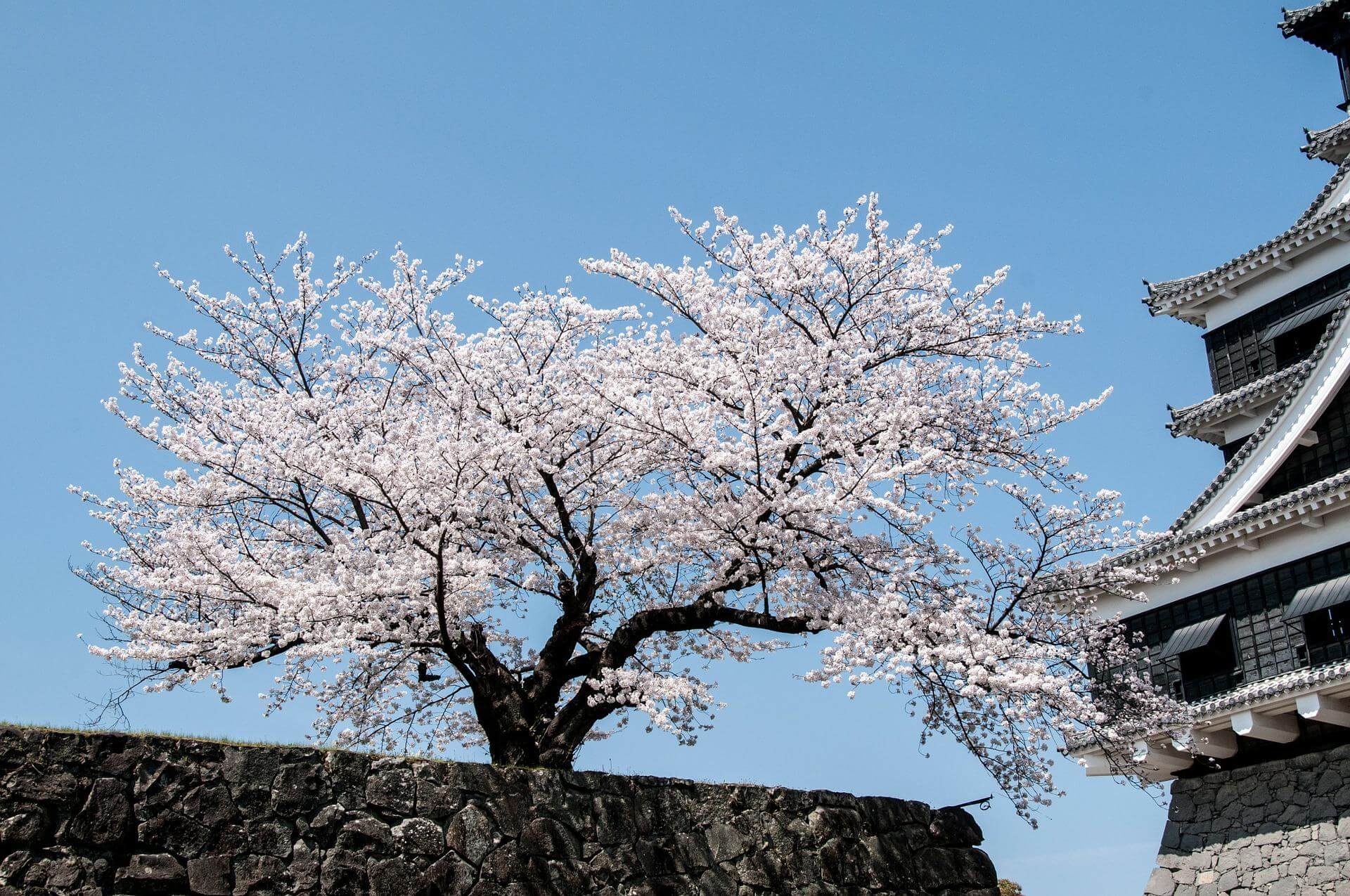 高知県