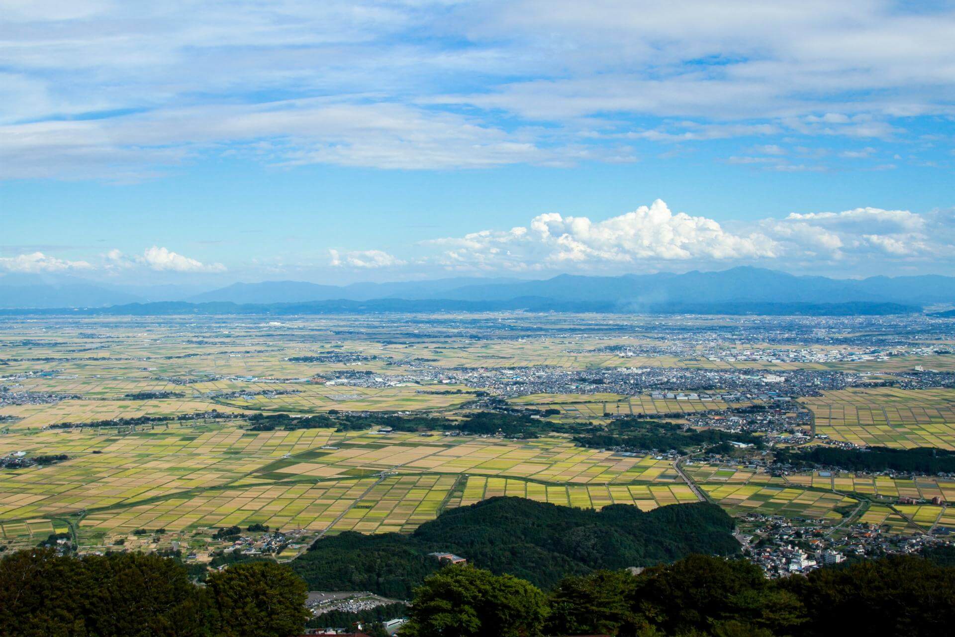 新潟県