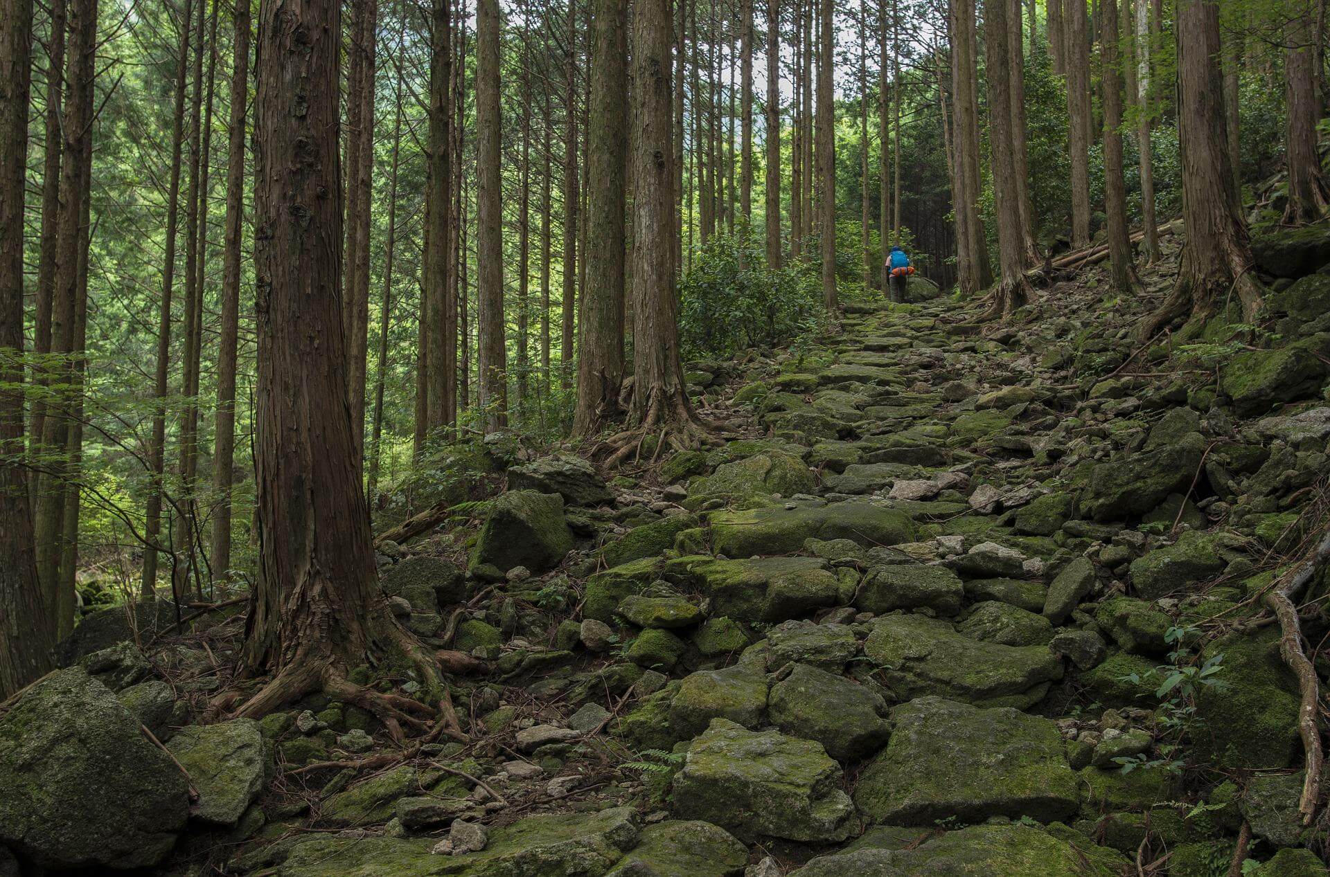 和歌山県