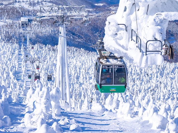 蔵王の樹氷