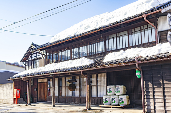 酒蔵見学
