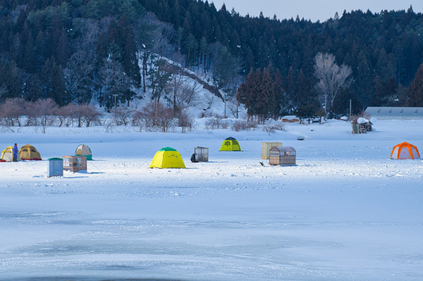 小川原湖