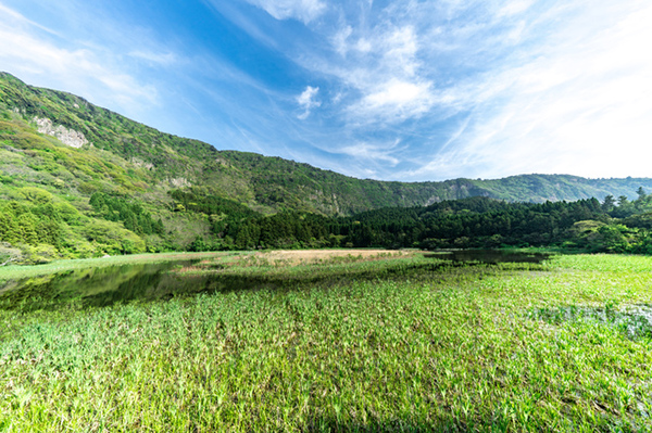 油井の池