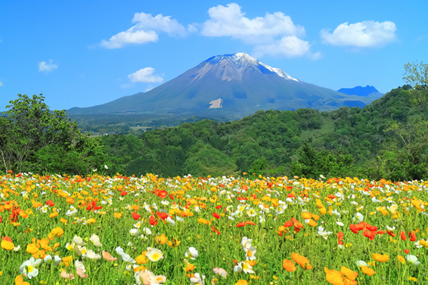大山（だいせん）