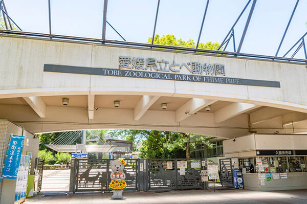 愛媛県立とべ動物園