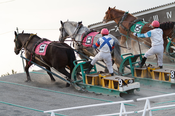 帯広競馬場（ばんえい十勝）