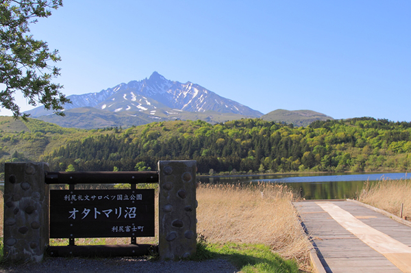 オタトマリ沼