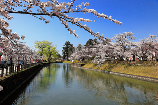 鶴ヶ岡城址公園(鶴岡公園)