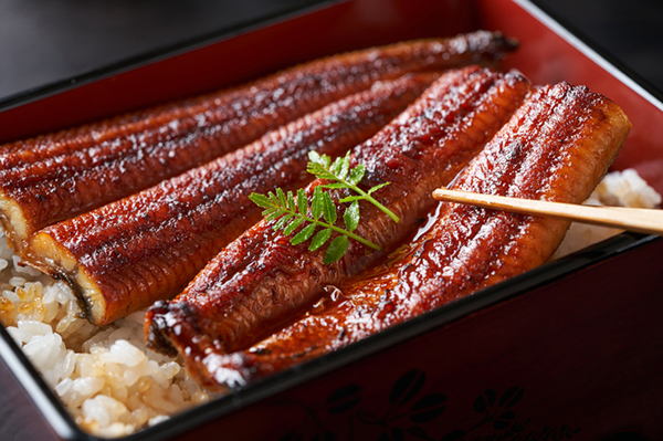 うなぎ