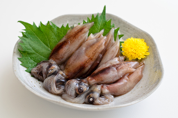 ホタルイカ